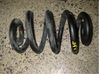 Front coil spring 