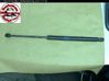Tailgate strut 8200583852