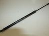 Tailgate strut 31297524
