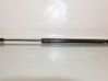 Tailgate strut 1848164