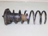 Rear coil spring 31262908
