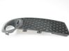 Front fog light trim/grill 12756079