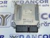 Engine control unit/module 7795844