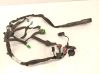 Front door wiring loom 30773670