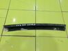Rear door trim (molding) 