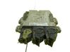 Engine control unit/module BV6112A650NG