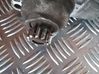 Motor de arranque D7RS50