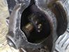 Starter motor 0001110114