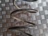 Front coil spring 