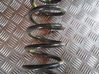 Front coil spring 