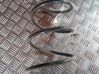 Front coil spring 