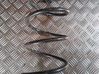 Front coil spring 