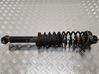 Rear shock absorber with coil spring 
