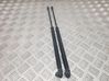 Tailgate/trunk strut/damper 0420N