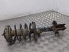 Front shock absorber/damper 