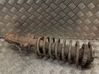 Front shock absorber with coil spring 