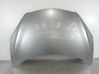 Engine bonnet/hood BBY45231XC