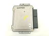 Engine control unit/module 391202A053