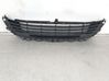 Fender grill 9670503480