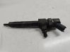 Fuel injector 0445110
