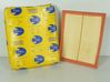 Air filter box EAF632