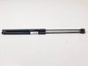 Tailgate/trunk strut/damper BM51A406A10AE
