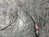 Outside/external air temperature sensor 13632610