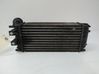 Intercooler radiator 00000384N9