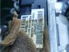 Light switch 96720603XT