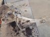 Rear wheel hub spindle/knuckle 
