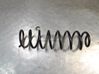 Rear coil spring 