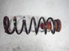 Rear coil spring 