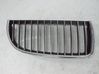 Front bumper upper radiator grill 