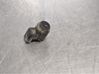 Parking PDC sensor 0312110156