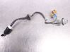 Tail light bulb cover holder 