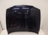 Engine bonnet/hood 41003449411