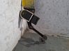 Czujnik poziomu zawieszenia pneumatycznego osi przedniej A2139053402