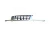 Front grill 07059827