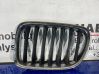 Front grill 51112993305