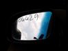 Front door electric wing mirror 