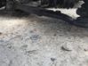 Front control arm 51857133