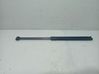 Tailgate/trunk strut/damper 13182309