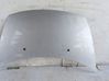 Engine bonnet/hood 7901N0