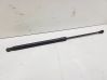 Tailgate/trunk strut/damper 8P3827552