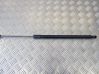 Tailgate/trunk strut/damper 5NA827550B