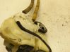 Rear door lock 1F02C0517