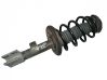 Front shock absorber/damper 
