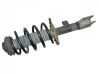 Front shock absorber/damper 