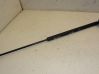 Front bonnet/hood damper/strut 811813E010