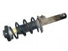 Front shock absorber/damper 